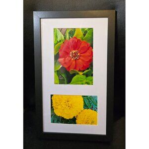 Original Floral Photography Framed Art Red Zinnia Yellow Marigold Prints